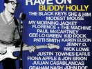 V/A - RAVE ON BUDDY HOLLY (2011 COMPILATION) SEALED VINYL - FREE SHIP