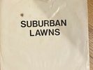 Suburban Lawns, Gidget Goes To Hell, 7” Vinyl, 1979 LA Punk
