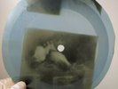 HOWLIN WOLF TELL ME X-Ray USSR Record Roentgen Bones Ribs Music Vinyl