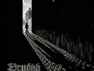 Drudkh -They Often See Dreams About The Spring LP Black Metal Vinyl Album RECORD