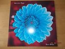 LP Depeche Mode - Early demos ( new ) vinyl record