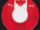 Canada Northern 45- SHIRLEY MATTHEWS - If I Had It All To Do Again  / Stop Clock