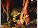 ECHO AND THE BUNNYMEN..LP..CROCODILES  SIRE  SRK-6096  1980  1st PRESSING