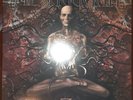 Meshuggah Obzen vinyl reissue (nb4670) brown 2xLP
