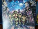 Teenage Mutant Ninja Turtles TMNT Waxwork Records Raphael red Vinyl LP SOLD OUT