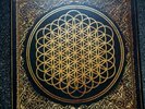 Bring me the horizon sempiternal vinyl Free same or next day shipping EX/EX