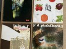 4 x LP Led Zeppelin 2 pink floyd a saucerful of secrets full cream best of cream
