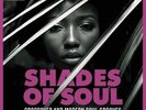 SHADES OF SOUL Crossover & Modern Soul Grooves - New & Sealed LP Vinyl (Charly)
