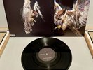 The Courteeners - Falcon (Parental Advisory, 2010)