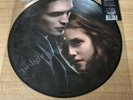 Twilight Vinyl Soundtrack Picture Disc Hottopic Exclusive First Movie
