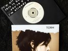 NATALIE IMBRUGLIA TORN 7
