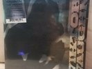 MF Doom - Viktor Vaughn - Vaudeville Villain (2019 Fat Beats RE, Black & Silver)
