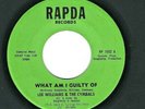 SWEET/FUNK  SOUL 45  Lee Williams & the Cymbals  Rapda  1002