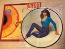 Kate Bush The Kick Inside. Rare UK Picture Disc Vinyl LP EMCP 3223. Near Mint.