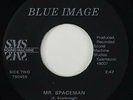 Blue Image 