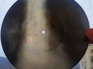 USSR GEORGIAN X-RAY ROENTGEN BONES  RECORD  UNIQUE ITEM 100% ORIGINAL