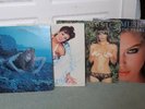 Roxy Music x4 Vinyl Lps Lp Bundle Inc The Atlantic Years / Country Life / Siren