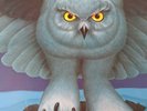 Rush fly by night Vinyl 1975 Mercury Records UK press