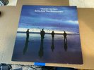 Echo and the Bunnymen Heaven Up Here Vinyl Record Sire 1981 SRK3569