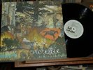 2005 LP Recording a Tape the Colour of Light Bell Orchestre Arcade Fire Postrock