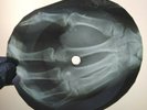 ROLLING STONES LOOK THAT YOUVE DONE X-Ray USSR Record Roentgen Bones Music Vinyl