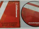 RAMMSTEIN - REISE REISE - 9868149 - PICTURE  - 2011 - VINILE - MINT - EXTRA RARE