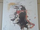 Peter Doherty Grace Wastelands RARE Vinyl LP  ALBUM 2009 SEALED