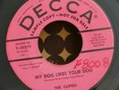 Cupids  MY DOG LIKES YOUR DOG (RARE DOO WOP PROMO 45) PLAYS VG+