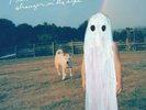 Phoebe Bridgers   Stranger in the ALPS   Ltd Ed BLACK Vinyl LP   Sold Out
