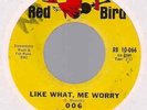 006 Like What Me Worry 45 ORIG 1966 US RED BIRD ALL TIME KILLER HARD FUZZ GARAGE