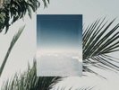 JINSANG In Flight LP NEW VINYL Vinyl Digital