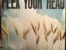 FLEX YOUR HEAD DC Hardcore LP DISCHORD WHEAT Minor Threat Teen Idles Iron Cross