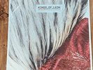 Kings Of Leon Sex On Fire 7“ Vinyl NEW Sealed Rare