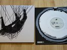 Korn ?– The Nothing / Vinyl Deluxe EDT. Black White Marble Swirl  2000 Stk