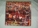 Rare YEAH YEAH YEAHS Vinyl FEVER TO TELL indie rock alternative punk green day