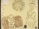 DEVENDRA BANHART: rejoicing in the hands YOUNG GOD 12