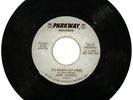 RARE SOUL PROMO Jerry Jackson Gonna Paint A Picture/Rough Out There 45  EX HEAR