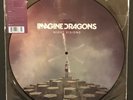 Imagine Dragons Night Visions Picture Disc RSD NM