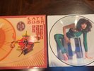 KATE BUSH The Kick Inside 1979 PICTURE DISC vinyl 2nd pressing UK LP