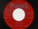 Blues R&B Rocker 45 - Willie Mae Big Mama Thornton - I Smell A Rat - Peacock mp3