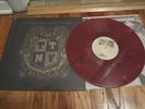 This Time Next Year ?LP Drop Out Of Life BURGUNDY VINYL 2011 Pop Punk