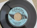 RONNIE WILSON - Boy in a crowd / I'm walking behind you ( unofficial RE-ISSUE)
