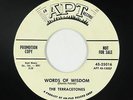 Doo-Wop 45 - Terracetones - Words Of Wisdom - Apt - VG+ mp3