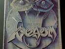 VENOM - Here Lies Venom 4 LP Box Set (Incl. American Assault Picture Disc)