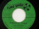 Lloyd Williams/Tommy McCook 