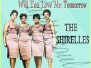 60S R/B GIRL GROUP POP TOP RANK THE SHIRELLES WILL YOU LOVE ME PICTURE SLEEVE