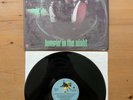 The Flamin’ Groovies - Jumpin’ In The Night 1979 Vinyl LP - Free Postage