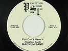 Hard Rock 45 - Magnum Band - You Can't Have It - PSI - mp3 - obscure