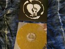 Rise Against - Endgame Vinyl LP Orange Marble Interpunk Exclusive 180g