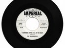 DOO WOP 45 RAINDROPS I REMEMBER IN THE STILL OF THE NIGHT IMPERIAL  VG+ ORIGINAL
